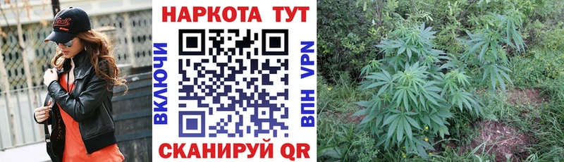 Где можно купить наркотики Чита Экстази Alpha PVP Мефедрон MDMA Марихуана Гашиш