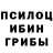 Псилоцибиновые грибы прущие грибы Crunch band