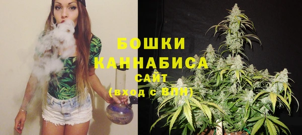 бошки Алексин