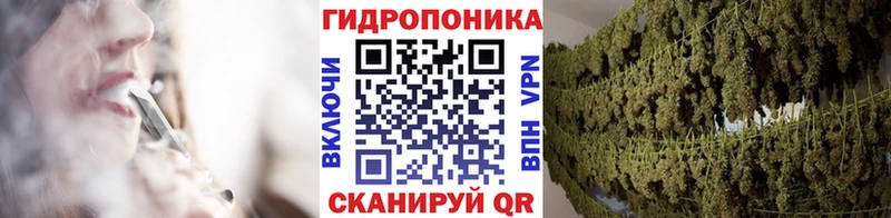 Бошки Шишки планчик  магазин  наркотиков  Чита 